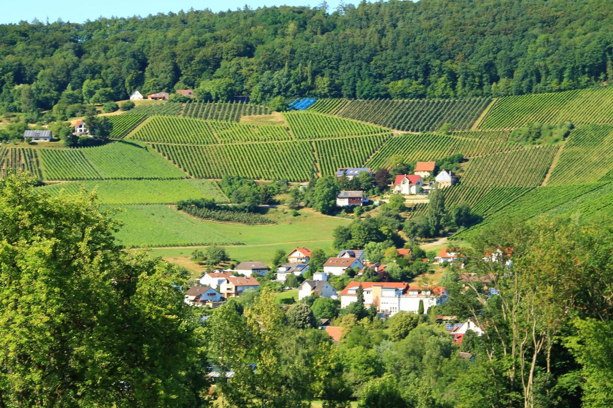 Ferienwohnung Kraft Untersteinbach 外观 照片